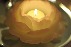 Image gallery