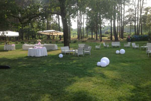 Image gallery